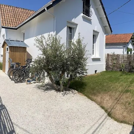 Joséphine De Boyard Hébergement de vacances Saint-Georges-d'Oleron